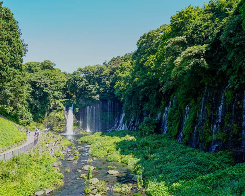 富士山の麓で
季節を感じる満足旅